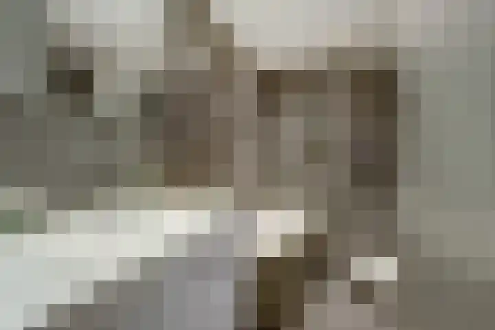 Sperwerlaan 36 Leerdam thumbnail 20
