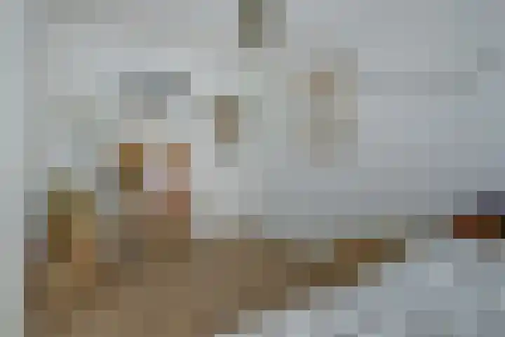 Sperwerlaan 36 Leerdam thumbnail 24