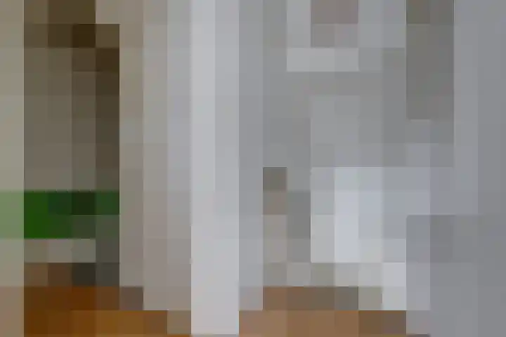 Sperwerlaan 36 Leerdam thumbnail 31