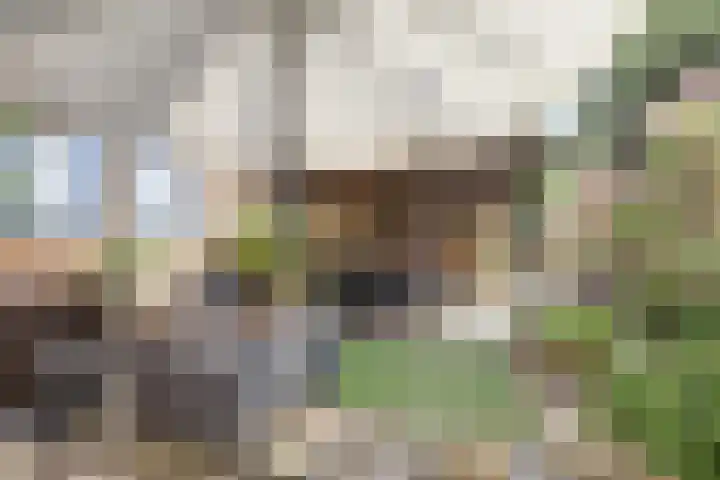 Sperwerlaan 36 Leerdam thumbnail 36