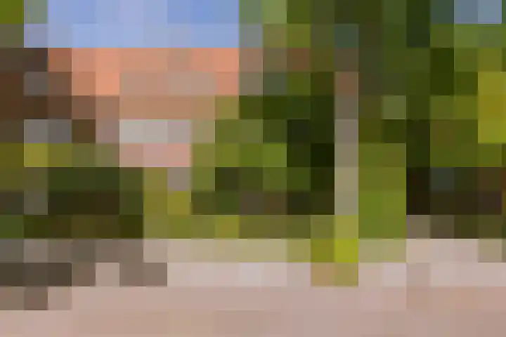 Sperwerlaan 4 A Eindhoven