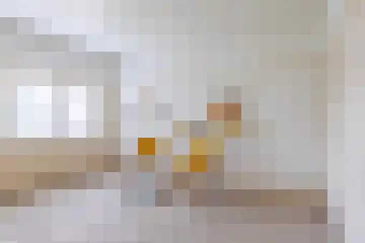 Sperwerlaan 4 A Eindhoven thumbnail 23