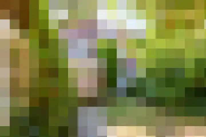 Sperwerlaan 4 A Eindhoven thumbnail 36