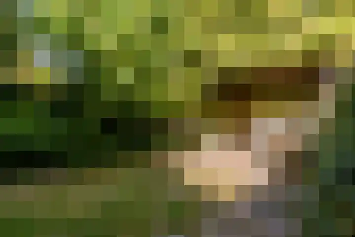 Sperwerlaan 4 A Eindhoven thumbnail 39