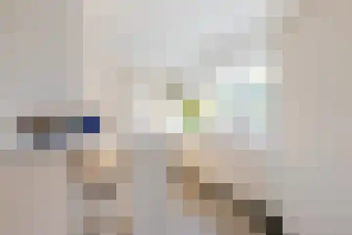 Sperwerlaan 4 A Eindhoven thumbnail 4