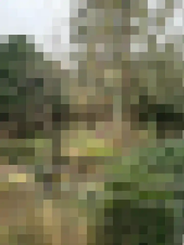 Sperwerlaan 4 Katwijk thumbnail 27