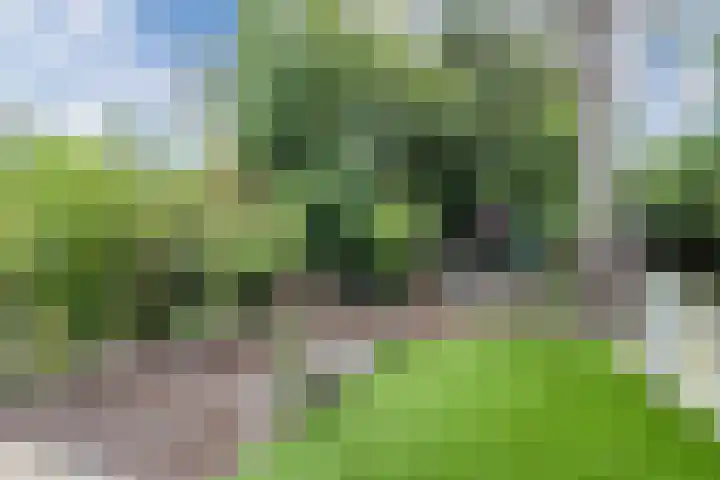 Sperwerlaan 4 Katwijk thumbnail 45