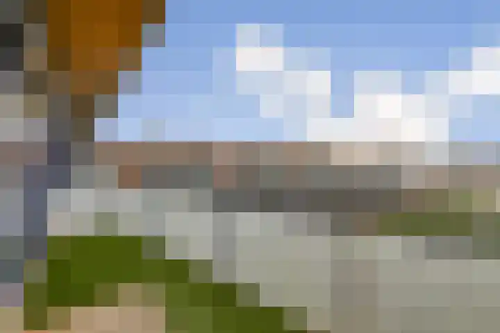 Sperwerlaan 487 Vlaardingen thumbnail 13