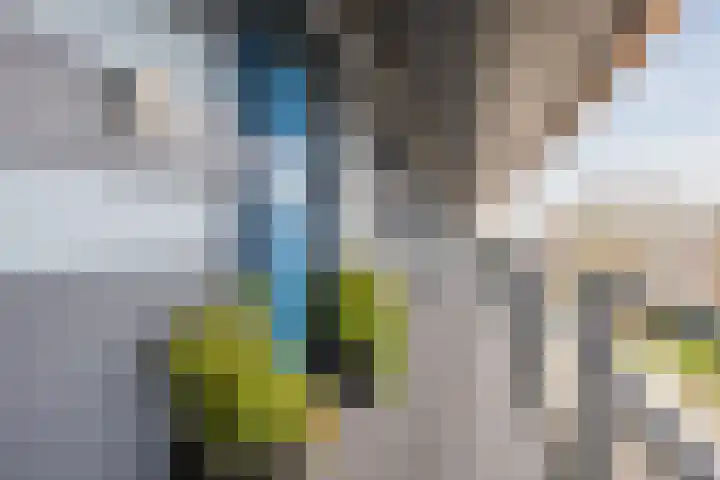 Sperwerlaan 489 Vlaardingen thumbnail 29