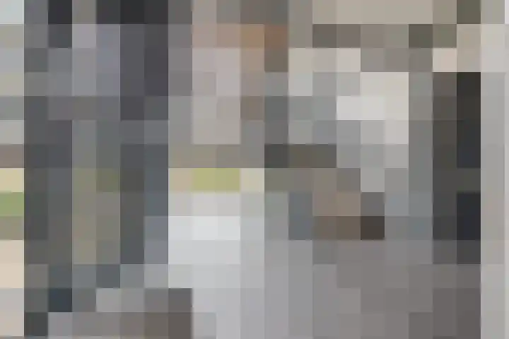 Sperwerlaan 489 Vlaardingen thumbnail 31