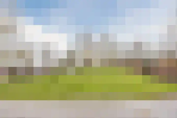 Sperwerlaan 489 Vlaardingen thumbnail 41