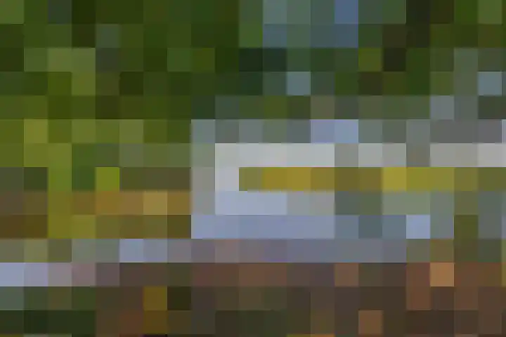 Sperwerlaan 489 Vlaardingen thumbnail 42