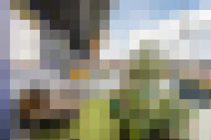 Sperwerlaan 489 Vlaardingen thumbnail 5