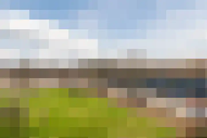 Sperwerlaan 489 Vlaardingen thumbnail 8