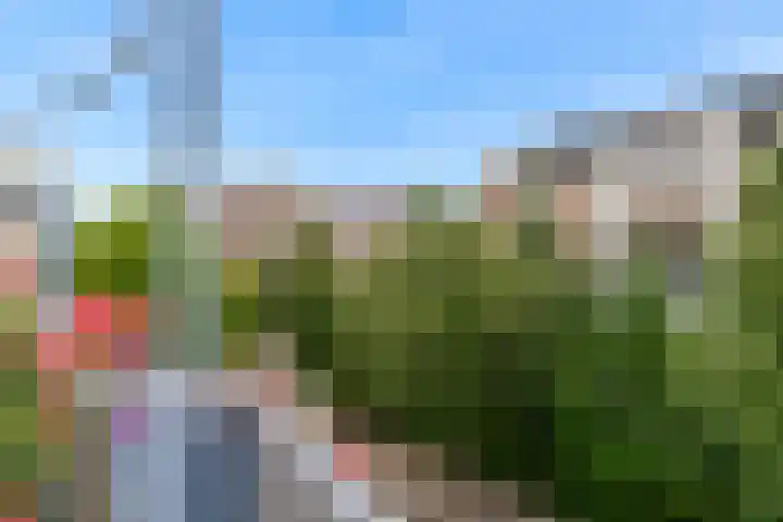Sperwerlaan 5 B Bilthoven thumbnail 20