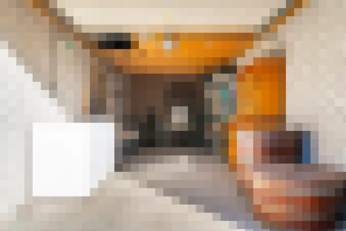 Sperwerlaan 5 B Bilthoven thumbnail 32