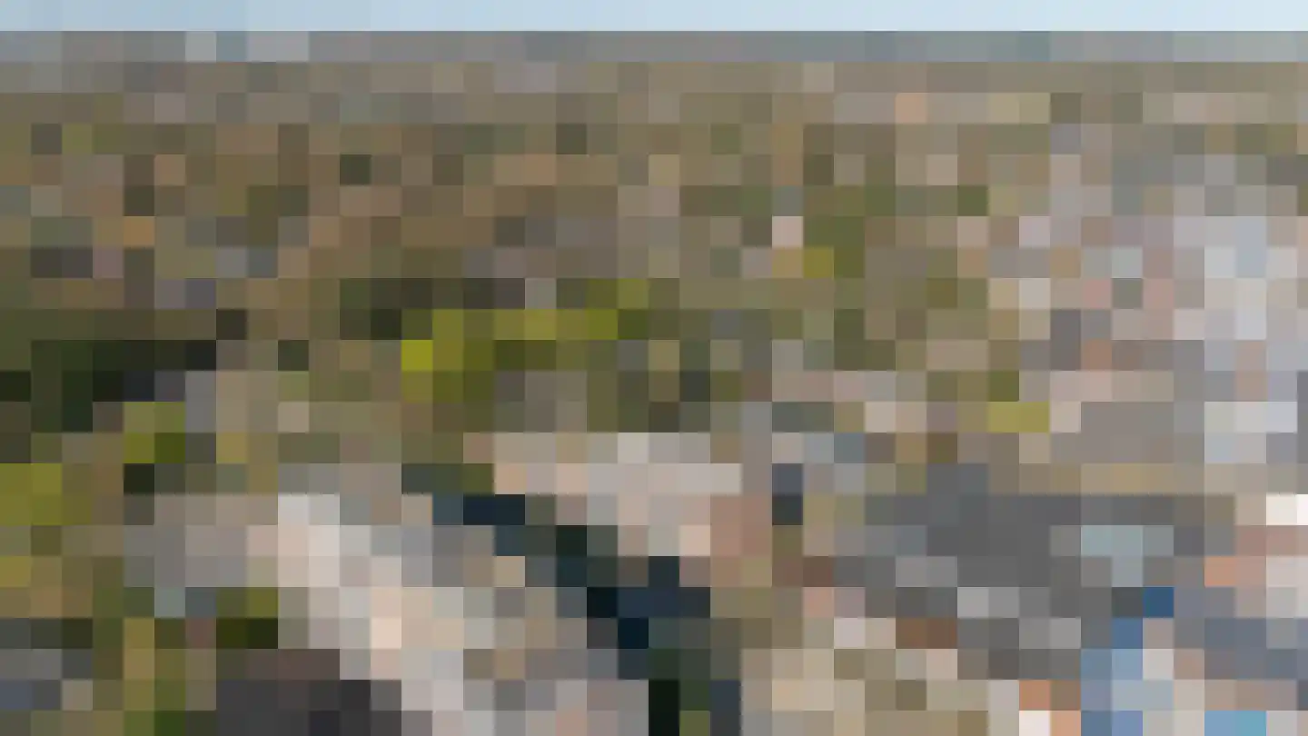 Sperwerlaan 5 B Bilthoven thumbnail 38