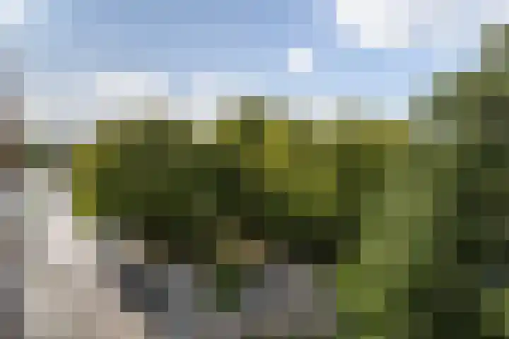 Sperwerlaan 507 Vlaardingen thumbnail 10