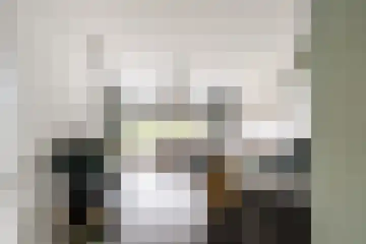 Sperwerlaan 507 Vlaardingen thumbnail 14
