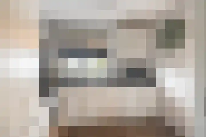 Sperwerlaan 507 Vlaardingen thumbnail 17
