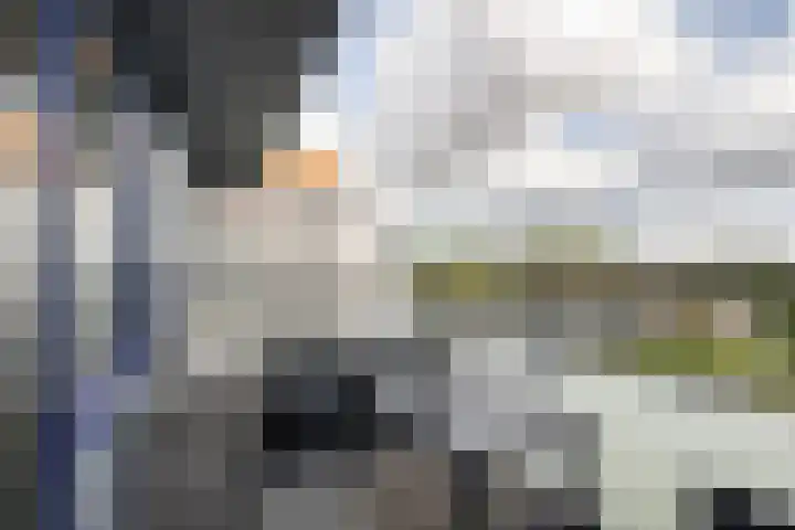 Sperwerlaan 507 Vlaardingen thumbnail 19
