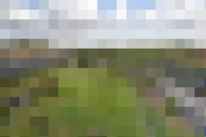 Sperwerlaan 507 Vlaardingen thumbnail 20