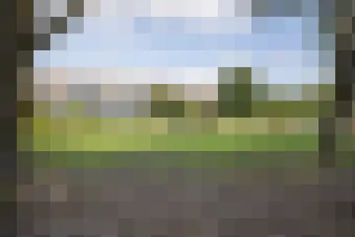 Sperwerlaan 507 Vlaardingen thumbnail 27