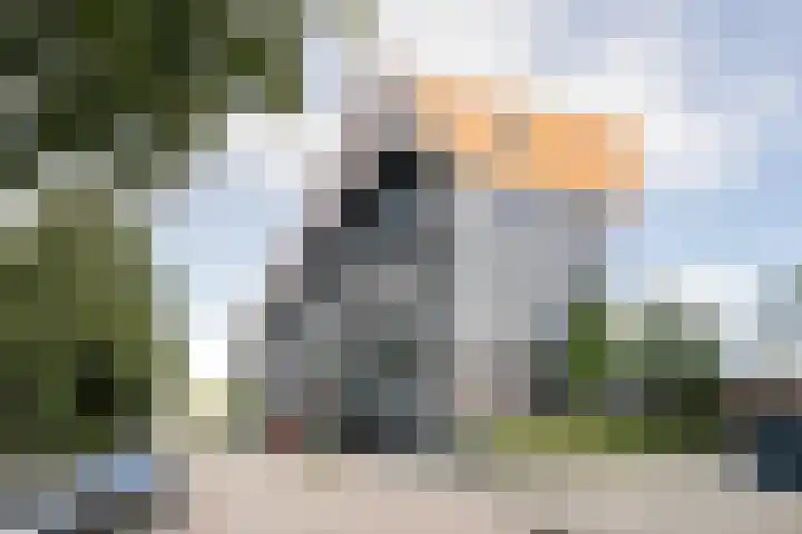 Sperwerlaan 507 Vlaardingen thumbnail 29