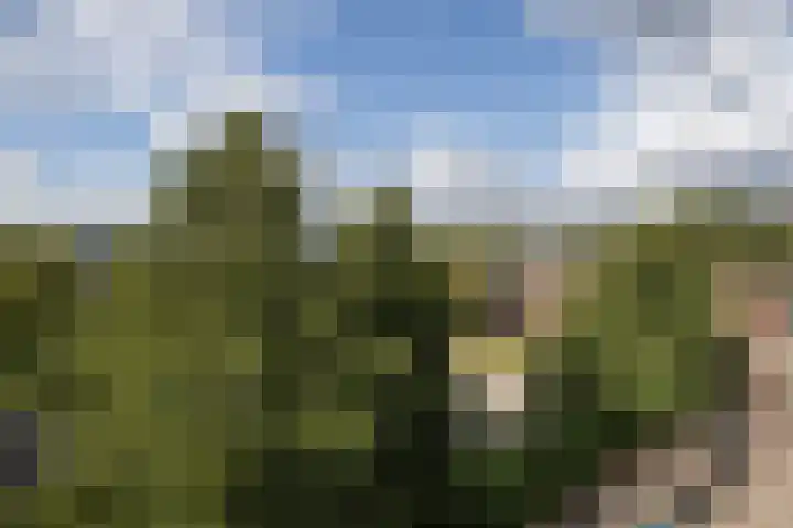 Sperwerlaan 507 Vlaardingen thumbnail 8