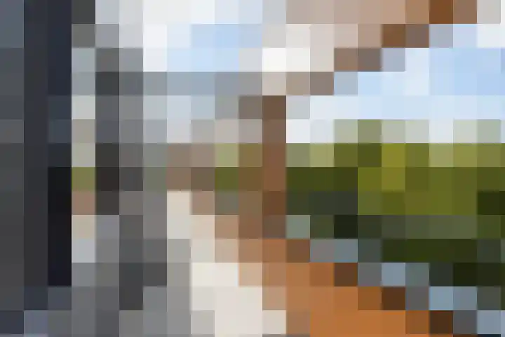 Sperwerlaan 507 Vlaardingen thumbnail 9