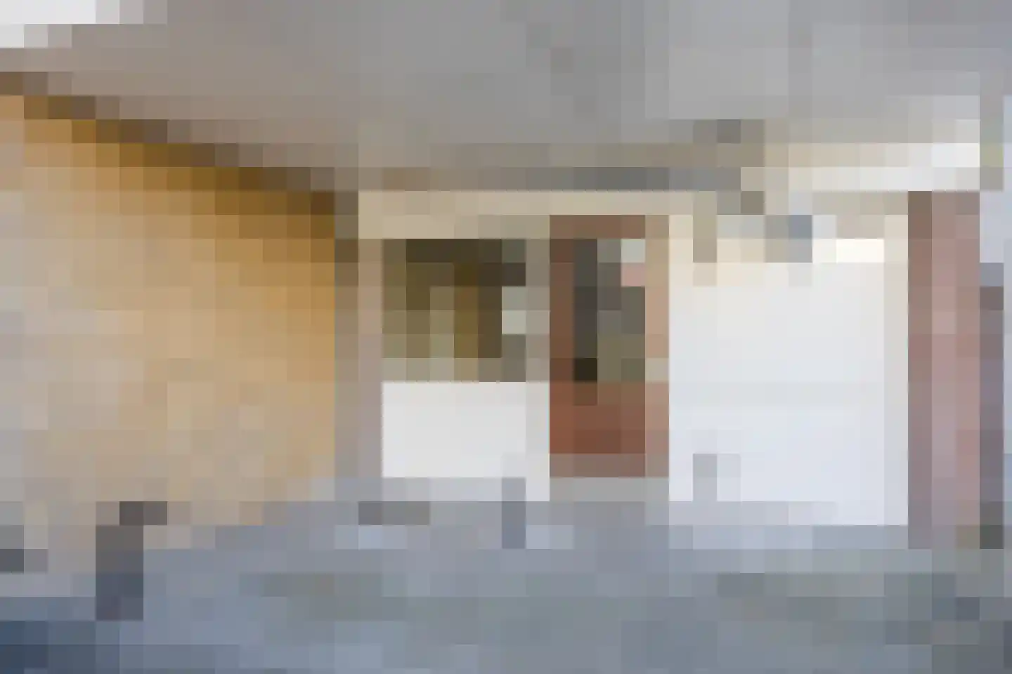 Sperwerlaan 53 Hoogeveen thumbnail 39