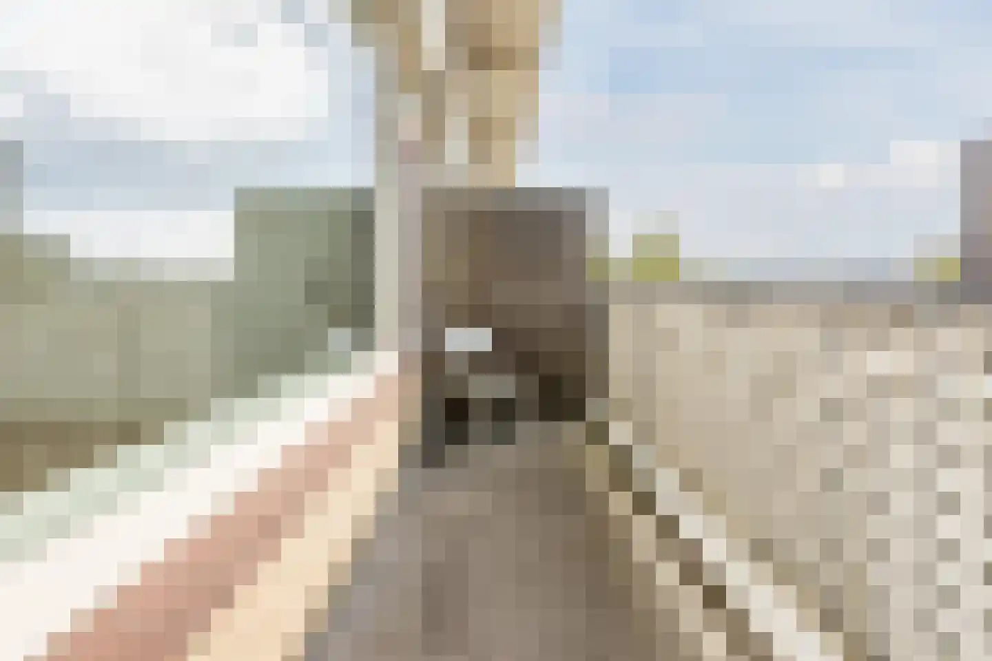 Sperwerlaan 53 Hoogeveen thumbnail 6