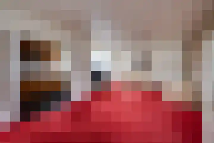 Sperwerlaan 7 B Bilthoven thumbnail 10