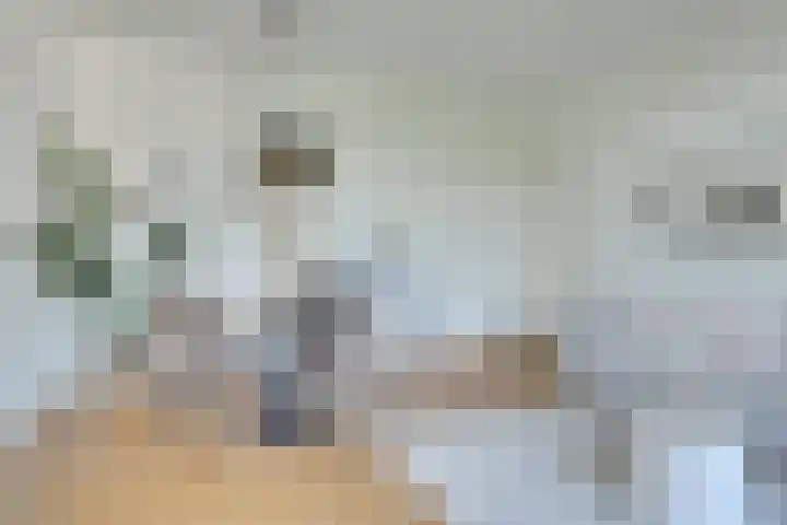 Sperwerlaan 7 B Bilthoven thumbnail 22
