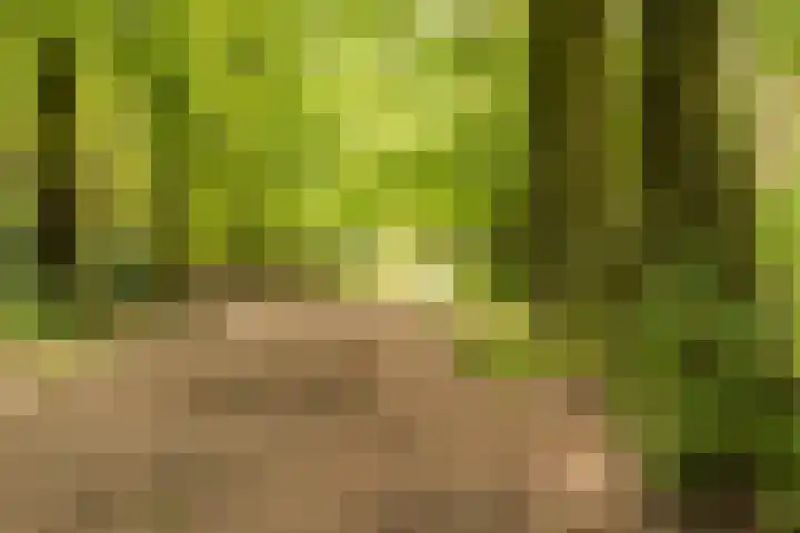 Sperwerlaan 7 B Bilthoven thumbnail 33