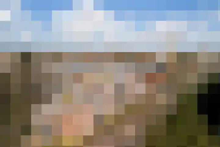 Sperwerlaan 7 B Bilthoven thumbnail 37
