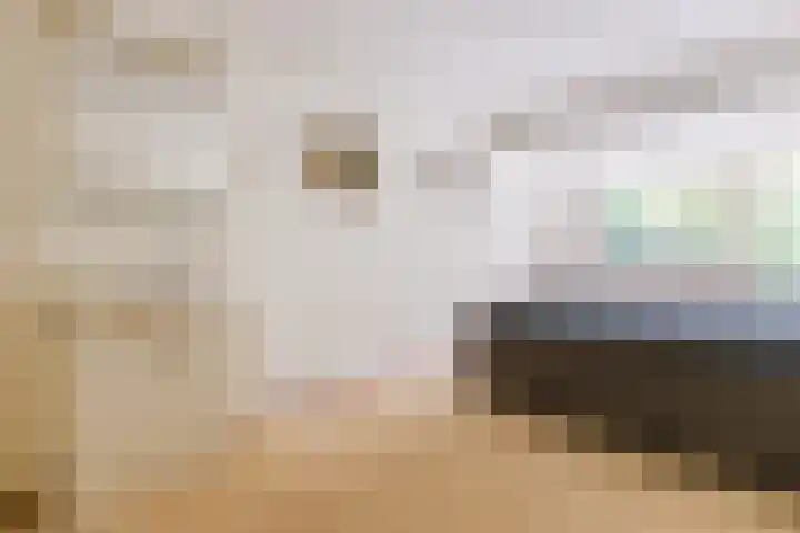 Sperwerlaan 7 Katwijk thumbnail 14
