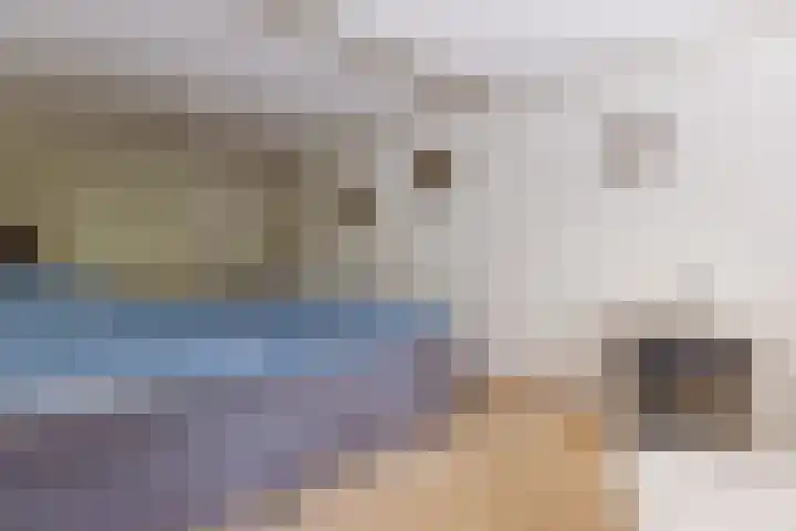 Sperwerlaan 7 Katwijk thumbnail 16