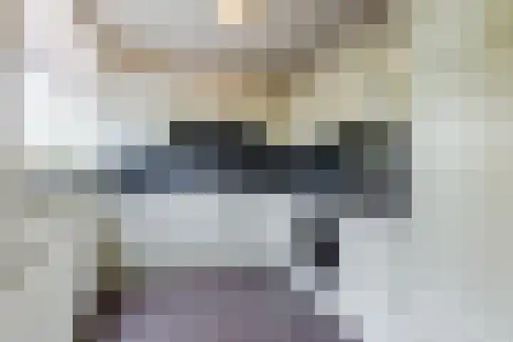 Sperwerlaan 7 Katwijk thumbnail 39