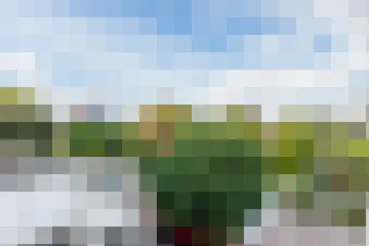 Sperwerlaan 7 Katwijk thumbnail 49