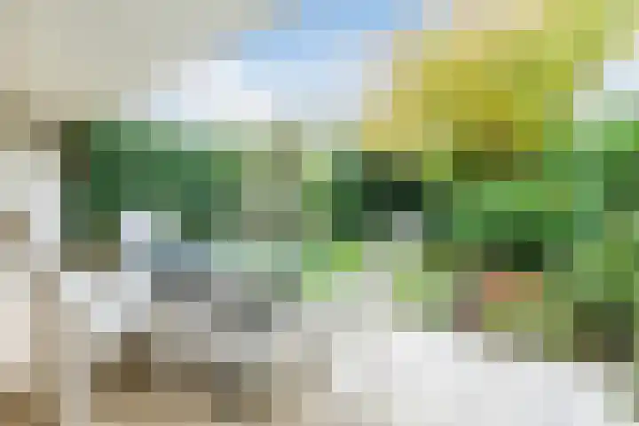 Sperwerlaan 7 Katwijk thumbnail 56