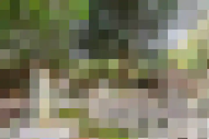 Sperwerlaan 7 Katwijk thumbnail 57