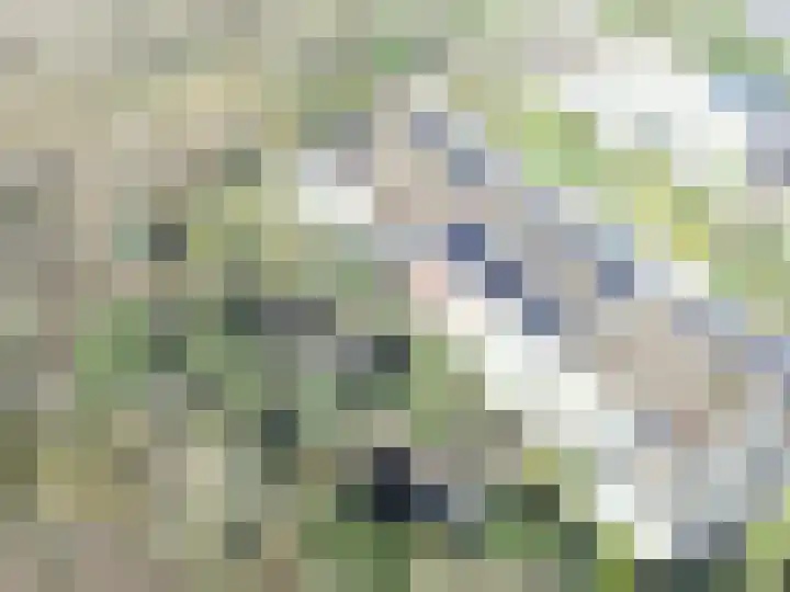 Sperwerlaan 7 Katwijk thumbnail 65