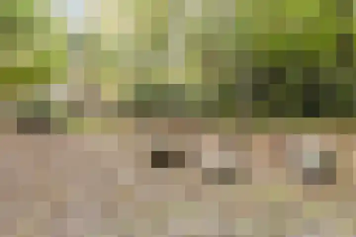 Sperwerlaan 7 Katwijk thumbnail 71