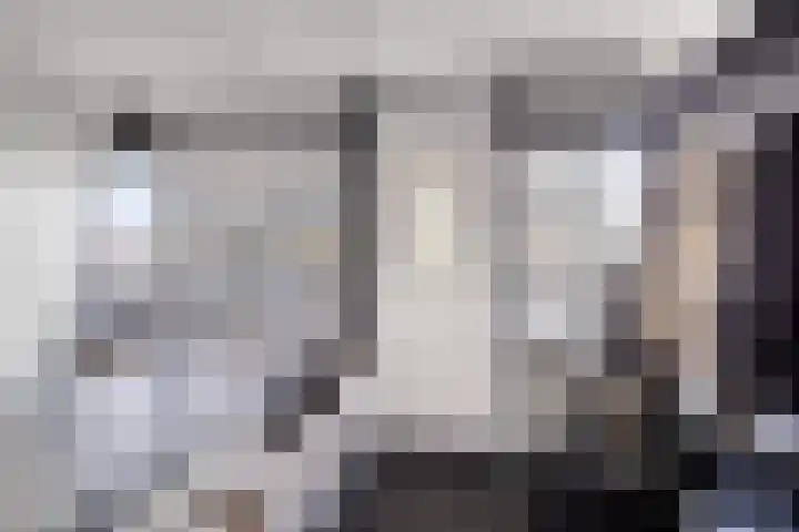 Sperwerlaan 75 Hoogeveen thumbnail 12