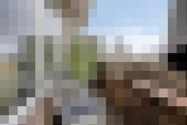 Sperwerlaan 75 Hoogeveen thumbnail 29