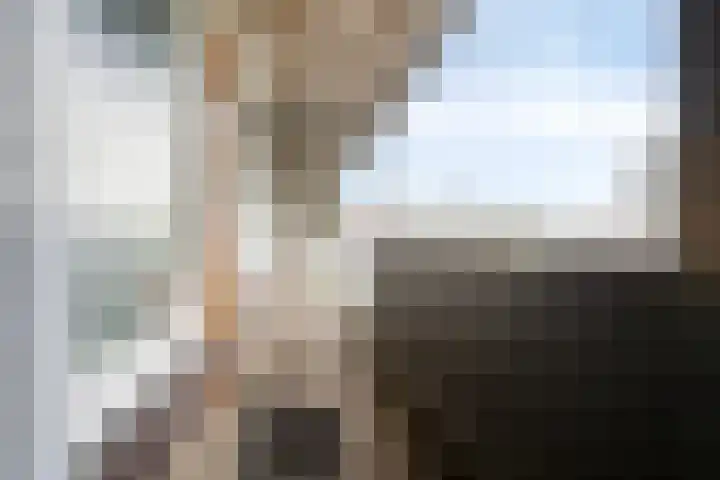 Sperwerlaan 75 Hoogeveen thumbnail 43