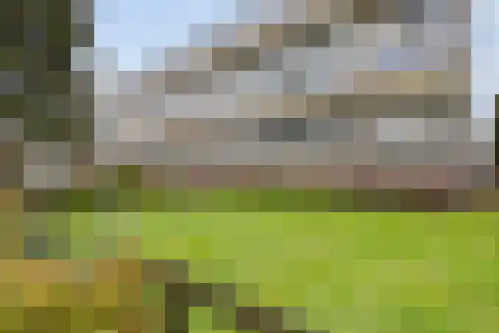 Sperwerlaan 75 Hoogeveen thumbnail 48