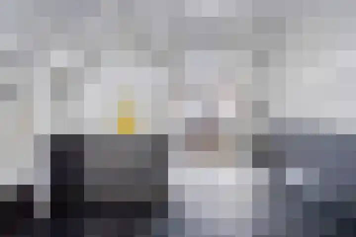 Sperwerlaan 75 Hoogeveen thumbnail 7