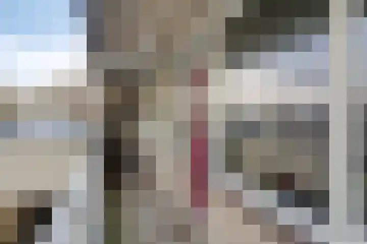 Sperwerlaan 75 Hoogeveen thumbnail 9